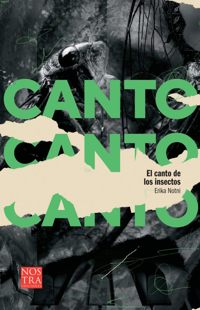 El canto de los insectos