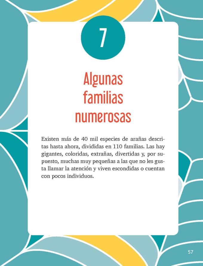 ARAÑAS_INT_2