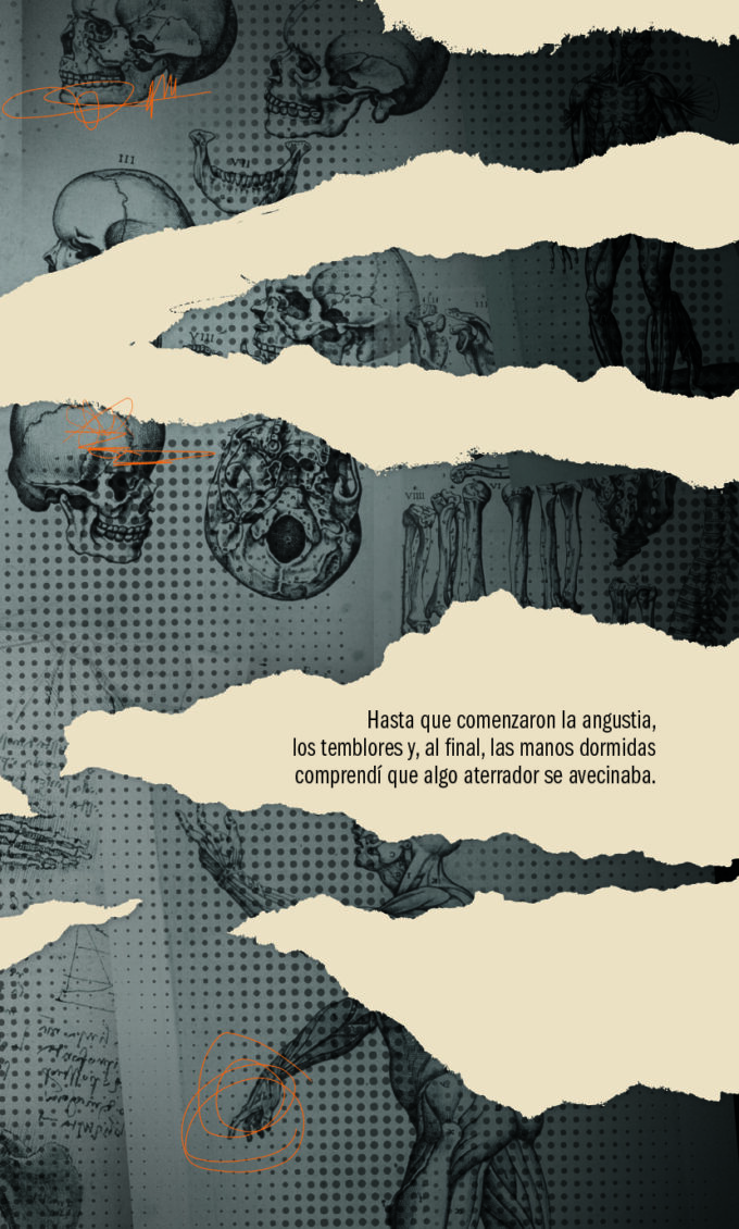 Las manos dormidas - Imagen 4